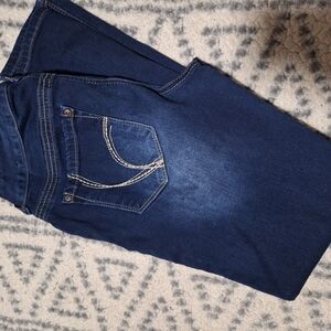 Ariya Blue Skinny Jeans